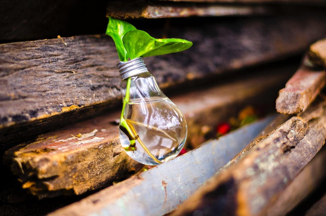 Why Reduce comes before Reuse and Recycle